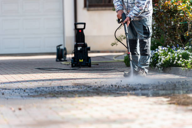 Best Roof Pressure Washing  in Southern View, IL
